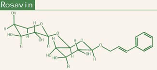 Rhodiola Rosea Phytochemistry - Rosavin